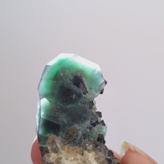 Fluorite and Black Tourmaline cluster, Erongo, Namibia