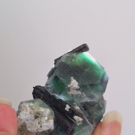 Fluorite and Black Tourmaline cluster, Erongo, Namibia