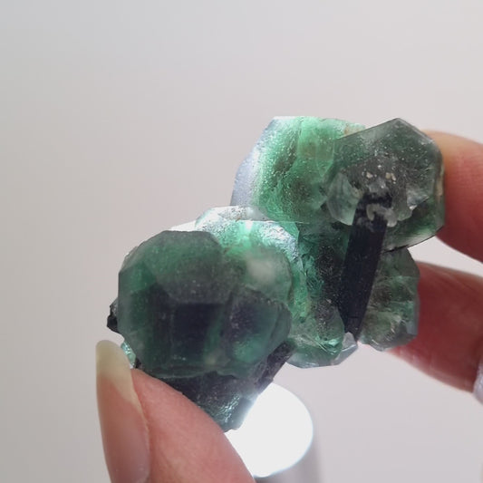 Fluorite and Black Tourmaline cluster, Erongo, Namibia