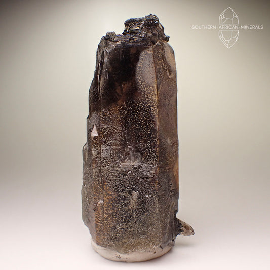 Phantom Smoky Quartz Crystal with Aegerine, Zomba Plateau, Malawi