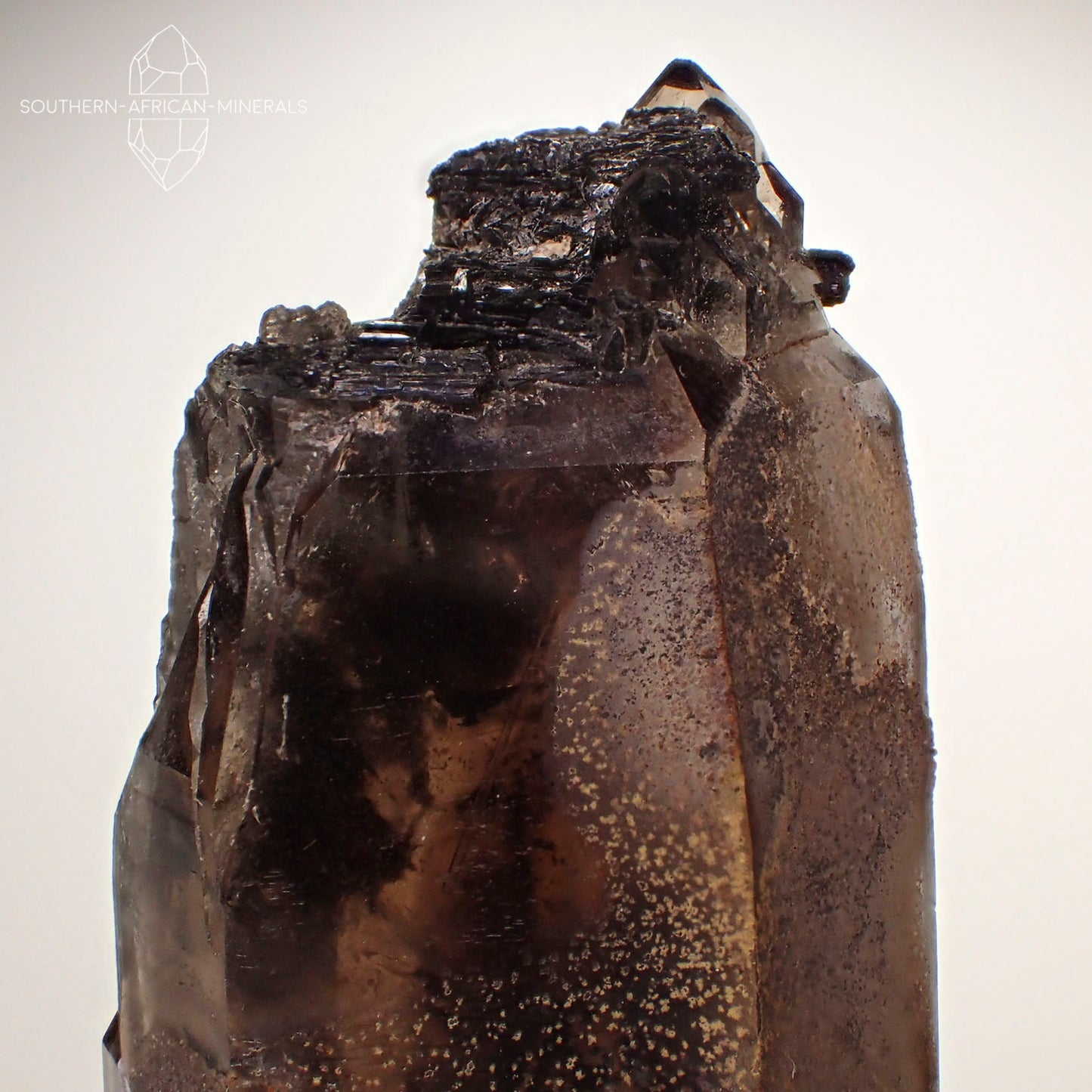 Phantom Smoky Quartz Crystal with Aegerine, Zomba Plateau, Malawi