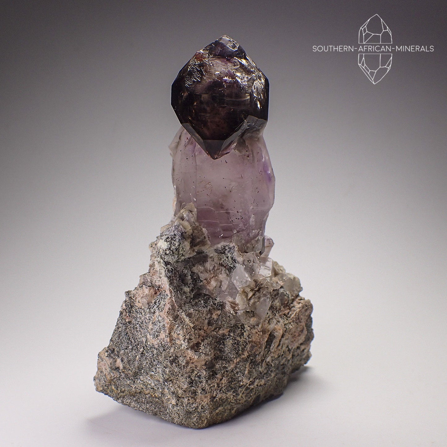 Brandberg Amethyst Smoky Sceptre Quartz Crystal on Matrix, Goboboseb, Namibia