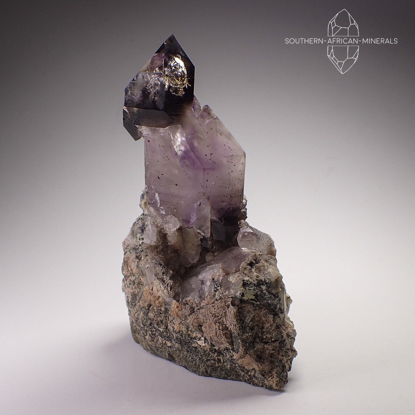 Brandberg Amethyst Smoky Sceptre Quartz Crystal on Matrix, Goboboseb, Namibia