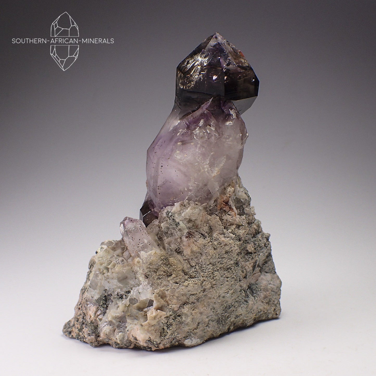 Brandberg Amethyst Smoky Sceptre Quartz Crystal on Matrix, Goboboseb, Namibia