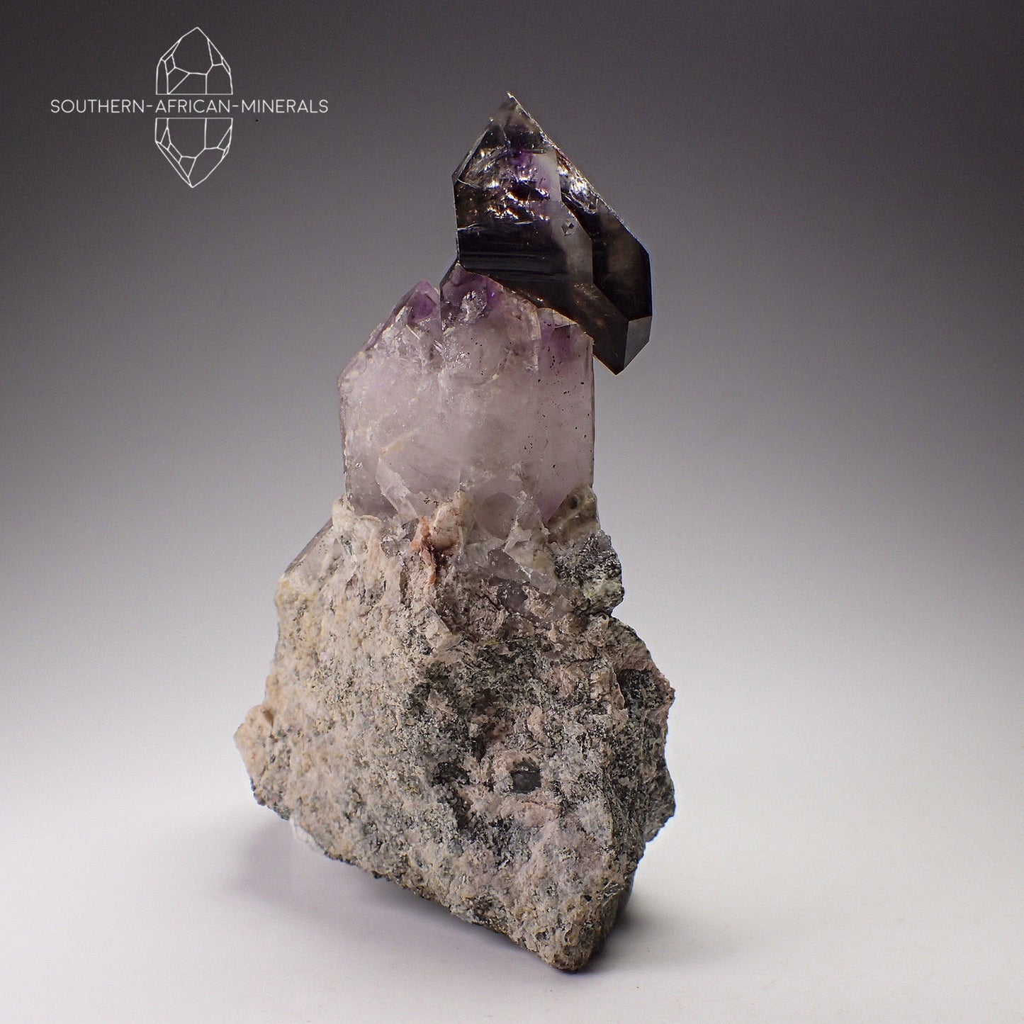 Brandberg Amethyst Smoky Sceptre Quartz Crystal on Matrix, Goboboseb, Namibia
