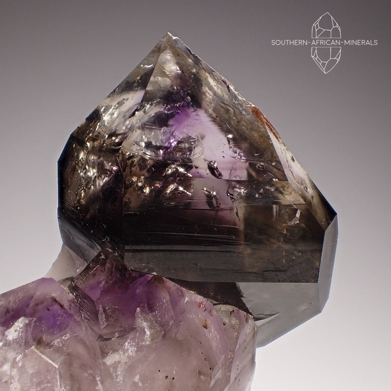 Lustrous Brandberg Amethyst Smoky Quartz popular Crystal Sceptre, Goboboseb Namibia